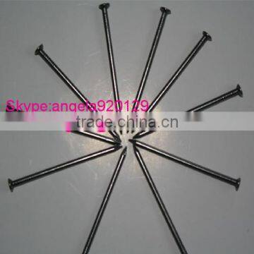 Common Nail Iron Nail High Quality Common Nail From Factory photo-2