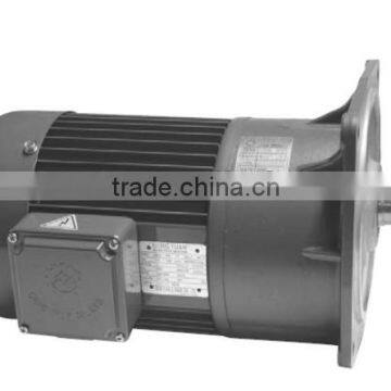 GENERAL INDUCTION MOTOR. INDUCTION MOTOR E1, E2, E3 INDUCTION MOTOR.