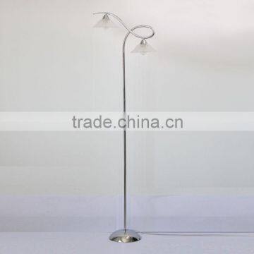 Fashion design iron & tranparent / clear glass floor lamp 2 heads Guangdong