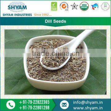 Bulk Supplier of Dill Seeds for Wholesale Buyer at Responsible Price