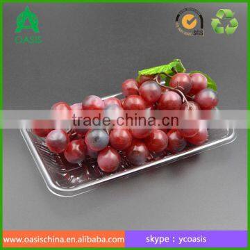 Disposable Plastic grape Cherry Tomatoes Fruit tray