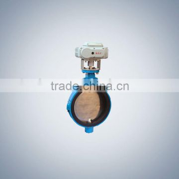 Motorized butterfly valve with actuator/soft seat