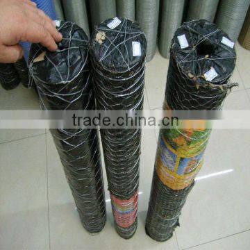 Galvanized Hexagonal Wire Mesh for Chicken