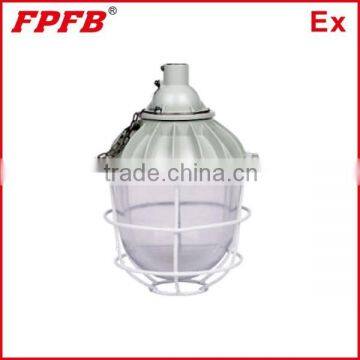 BAD51 Explosion Proof Lamp
