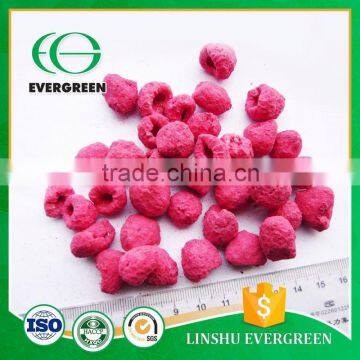 Golden Supplier Bulk Freeze Dried Raspberry