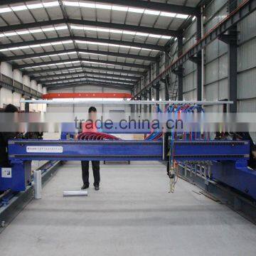 Steel Plate Cut to Strip Flame Cutting Machine