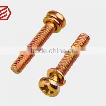 The phillips screw pan head with washer in China