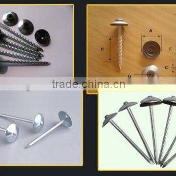 china supplier roofing nails,umbrella nails,iron nails