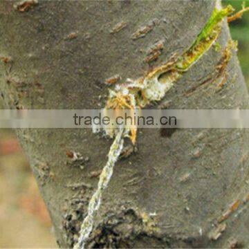 Emergency Survival Gear Outdoor Plastic Steel Wire Saw Ring Scroll Travel Camping Hiking Hunting Climbing Survival Tool photo-4