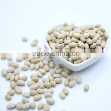 White Kidney Beans (Navy Type) photo-3