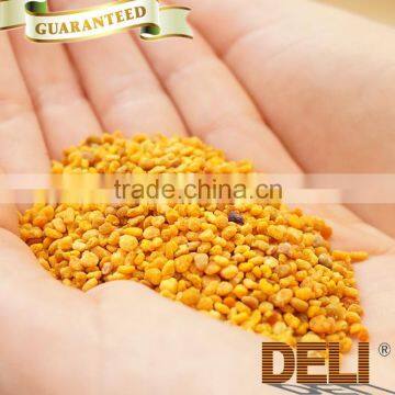2016 fresh newest fresh raw pine pollen