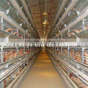 layer egg chicken cage of poultry equipment