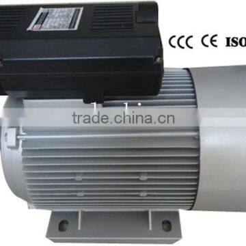 YL Two-value Capacitor Single-phase Motor 2 POLES