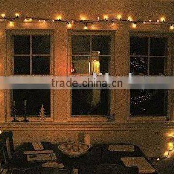 led string light/indoor and outdoor decoration