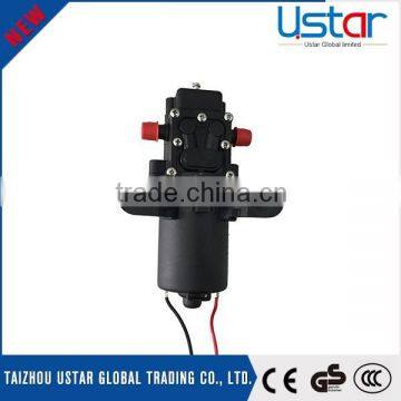 Agriculture DC 12V knapsack sprayer electric operated diaphragm pump