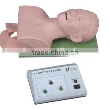 Electronic Trachea Intubation Training Model