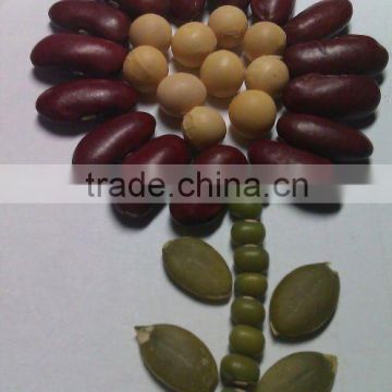 Red Kidney Bean( 2010 crop, heilongjiang origin, hps)