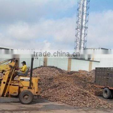 Native Cassava Starch photo-3