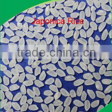 High-Quality Koshi Hikari Rice