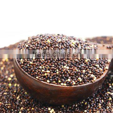 Bulk Hulled Millet Black Broomcorn Millet With High Quality