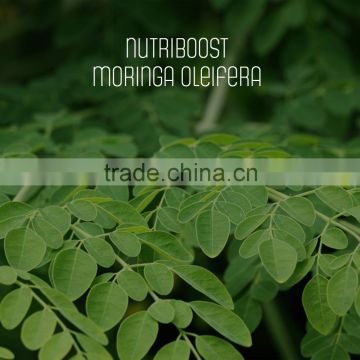 Organic Moringa Powder - Private label