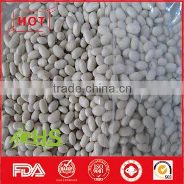 High Quality White Kidney Beans for Sale at Cheap Price photo-3