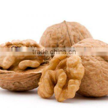 2012 dried walnut--hot product