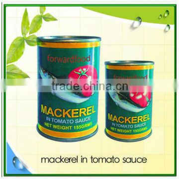 canned mackerel in brine water