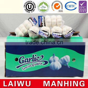 Hot sale Chinese normal white fresh garlic supplier price