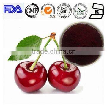 Top quality instant acerola cherry fruit juice powder for sale