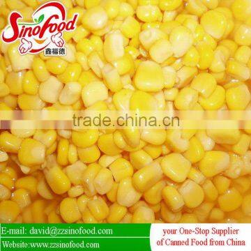 high quality sweet corn canned with good flavor