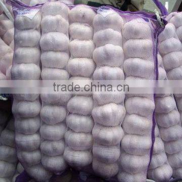 2013 shandong fresh white garlic