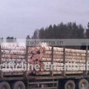 HARDWOOD / LARCH WOOD LOGS TIMBER RUSSIAN ORIGIN photo-3