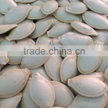 Snow White Pumpkin Seeds in Shell