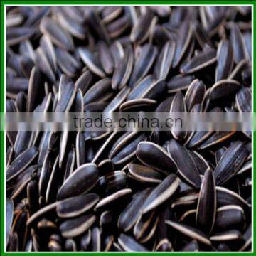 Sale Chinese High Quality and Cheap Spiced Sunflower Seeds In Bulk