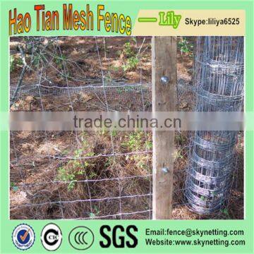 1.25m Hot dipped-Galvanized Wire Mesh Fence for Grassland/Farm Field Fence