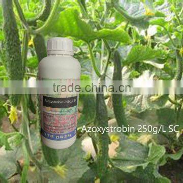 Agrochemical Azoxystrobin 250 g/L SC agriculture products Agrochemical Azoxystrobin 250