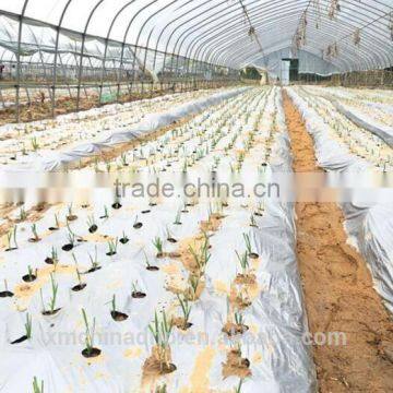 Drip Irrigation EV0231 Plastic Film Mulch photo-6