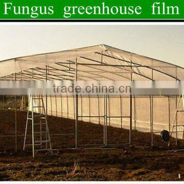 On Sale!!1 2014 high quality plastic agaricus bisporus greenhouse film for selling