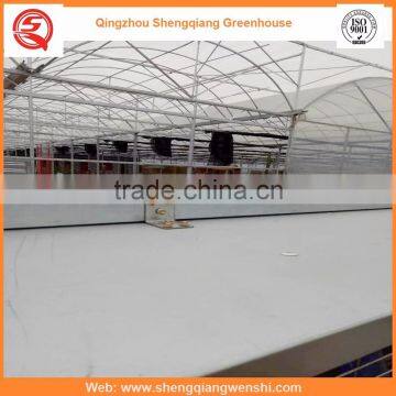 Agriculture Equipment Multi-span 7.2m PE Film Agriculture Greenhouse for Sale photo-4