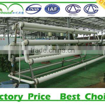 Hydroponic System for Agriculture Greenhouse photo-6
