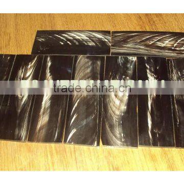 White Buffalo Horn Plates