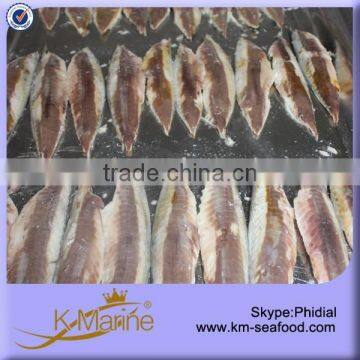 Top Quality Pacific Mackerel Fillet