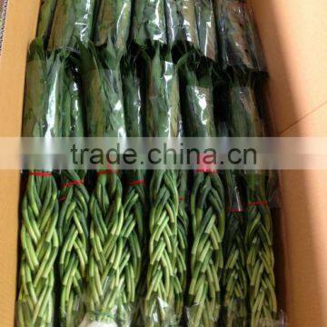 Best Selling Braided 12 Stems Braided Bamboo