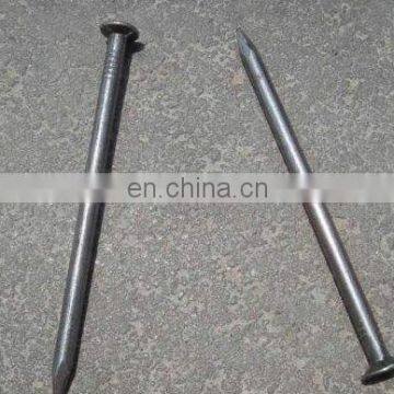 High quality common nail/iron nail from China supplier