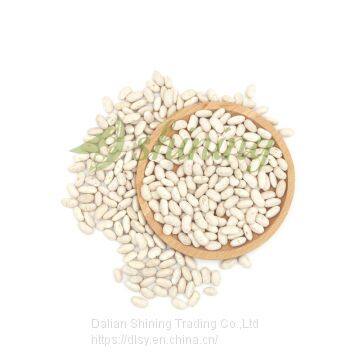 White Kidney Beans Long Shape Spanish Type