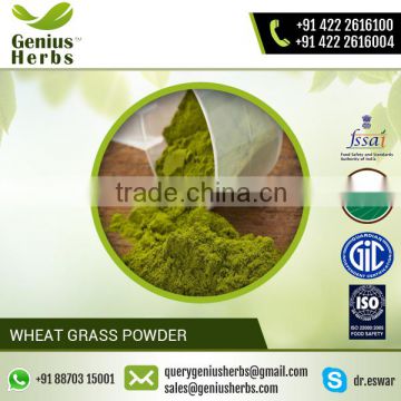 A Grade Customized Wheat Grass Powder for Health Benefits from Reliable Dealer