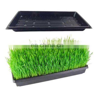 Plastic Seedling Tray Blister Forming Machine / Seed Tray Blister Making Machine