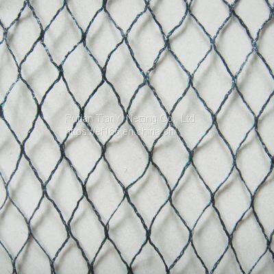 HDPE Plastic Anti Bird Net Agricultural Plastic Products Garden Netting Greenhouse Planting Net photo-3