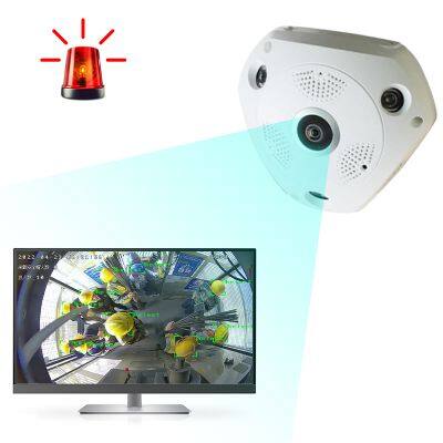 ai Number of people identification fisheye camera security camera with solar panel